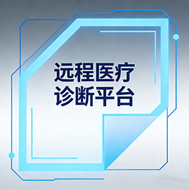 远程医疗诊断系统